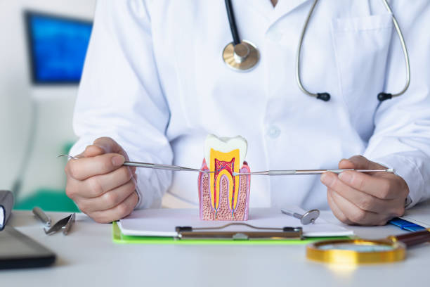 Best Root Canal Emergency Dentist  in West Mifflin, PA